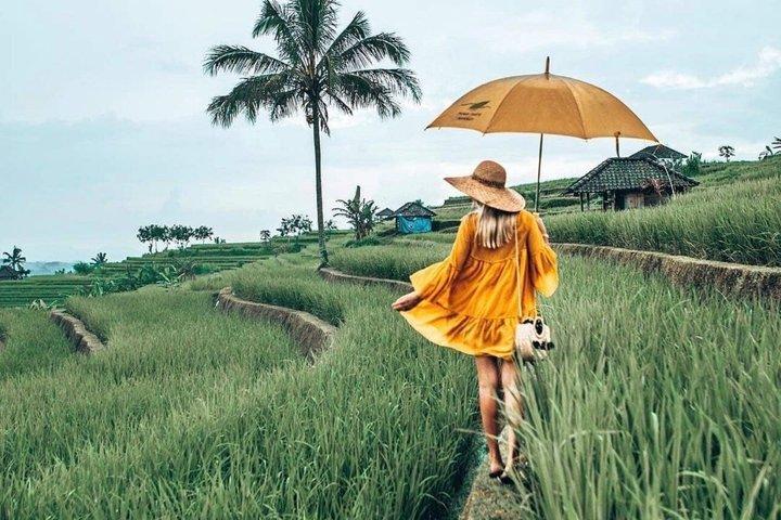 Bali UNESCO Terrazza del riso e tour del tempio All Inclusive