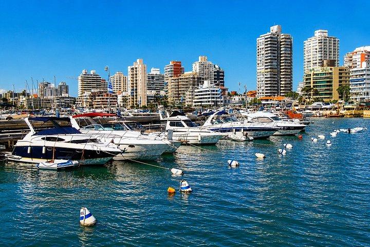 Discover Punta del Este: Private City Tour with a Local Guide