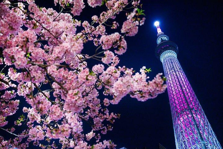 東京：大黒PA JDMナイトツアー – 湾岸高速道路ドライブ