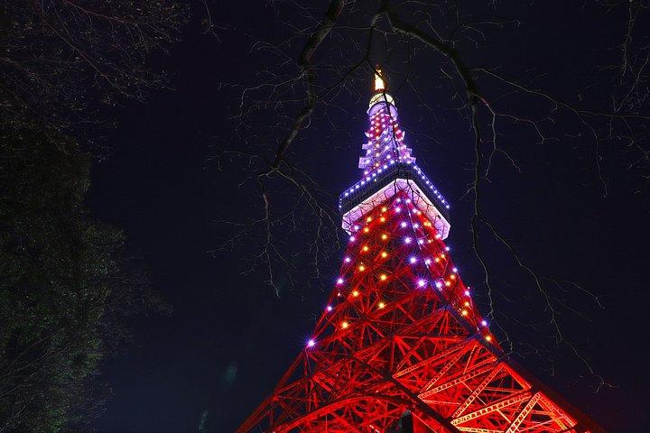 東京：大黒PA JDMナイトツアー – 湾岸高速道路ドライブ