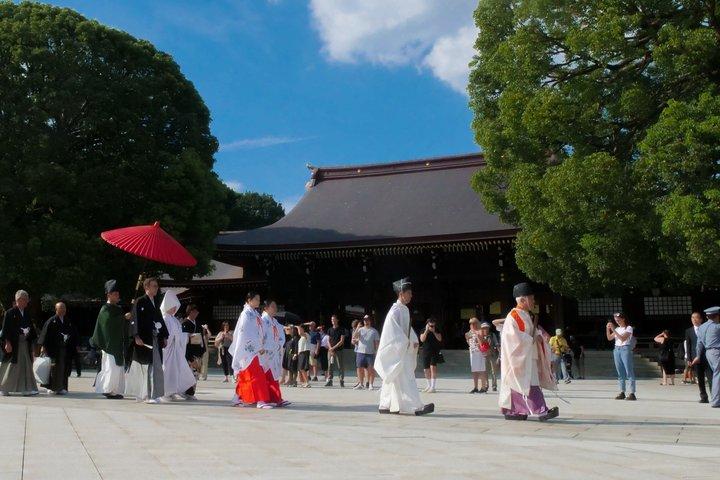 Harajuku Meiji Shrine Walking Tour in Tokyo