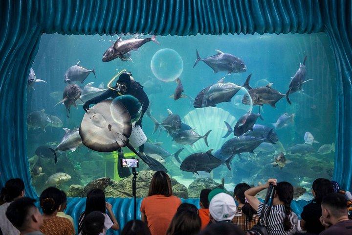 Private Kids and Family Tour Aquarium Farm and Chocolate