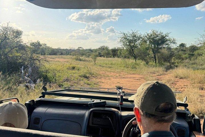Half Day Sunset Tshukudu Safari Tour