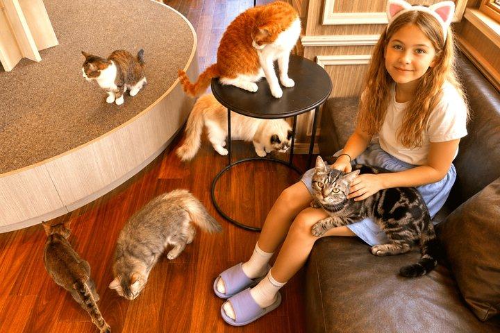 東京：渋谷ハチ公、猫カフェ＆五反田の招き猫寺