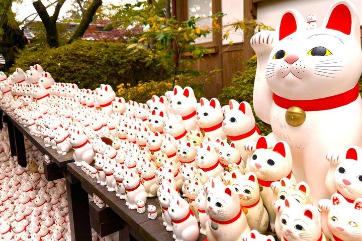 東京：渋谷ハチ公、猫カフェ＆五反田の招き猫寺