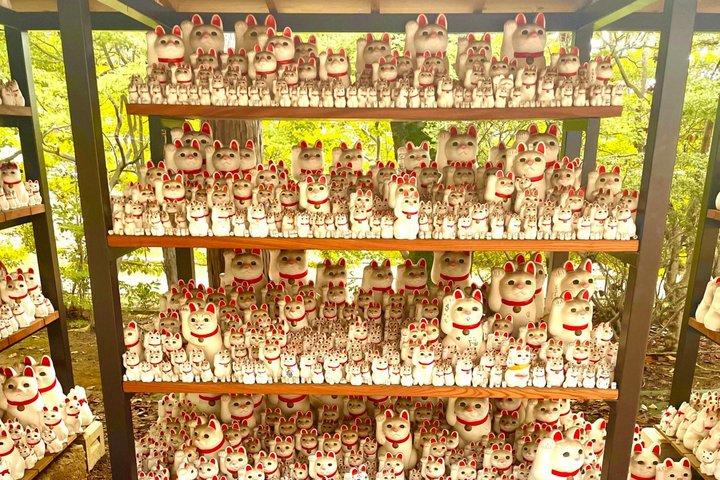 東京：渋谷ハチ公、猫カフェ＆五反田の招き猫寺