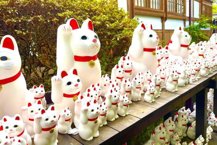 東京：渋谷ハチ公、猫カフェ＆五反田の招き猫寺