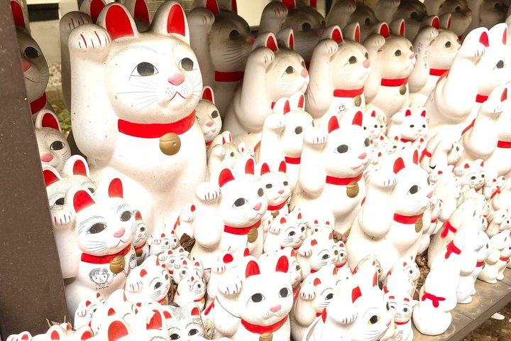 東京：渋谷ハチ公、猫カフェ＆五反田の招き猫寺