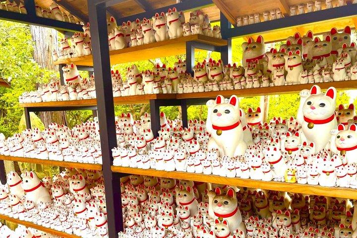 東京：渋谷ハチ公、猫カフェ＆五反田の招き猫寺