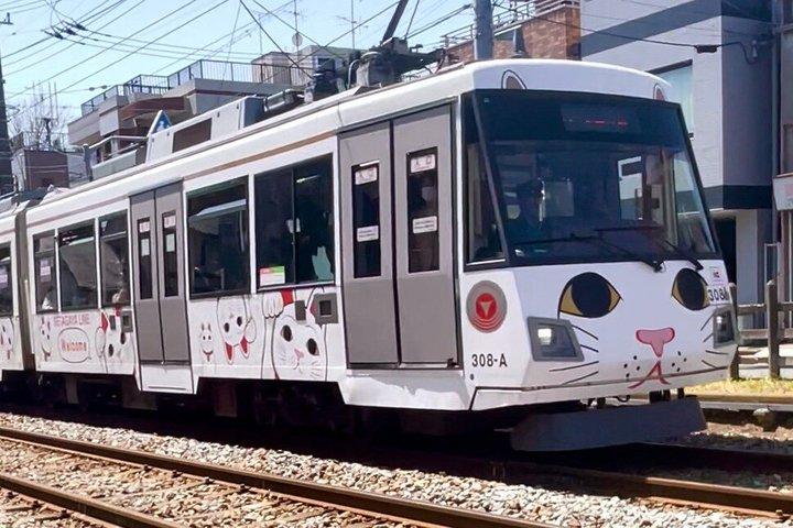 東京：渋谷ハチ公、猫カフェ＆五反田の招き猫寺