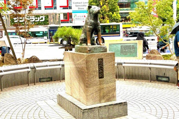 東京：渋谷ハチ公、猫カフェ＆五反田の招き猫寺