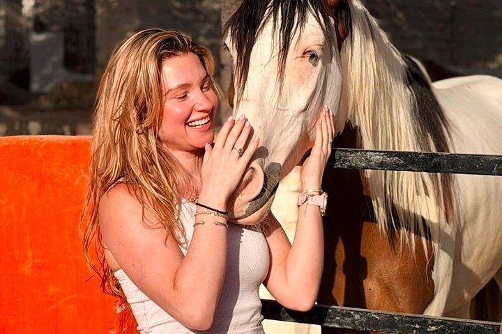Sharm El Sheikh Red Sea Beach Horse Riding Tour