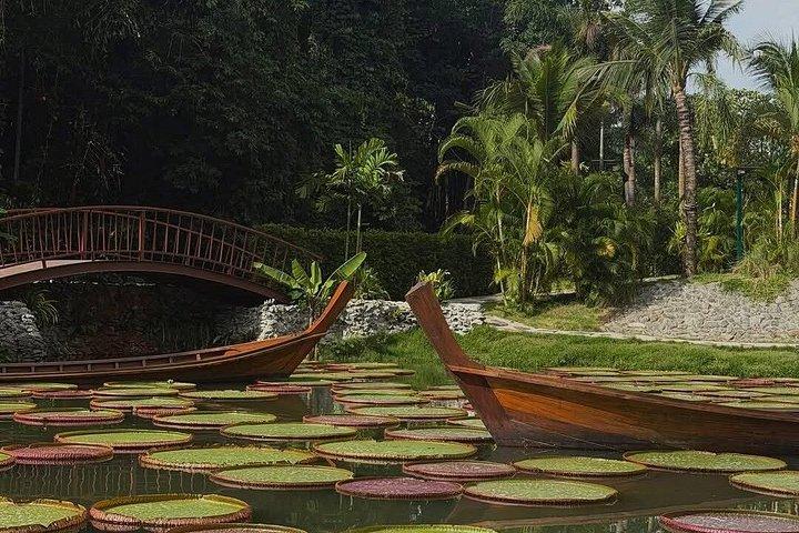 Mantra Forest Spa Sanctuary with Roundtrip Transfer from Phuket