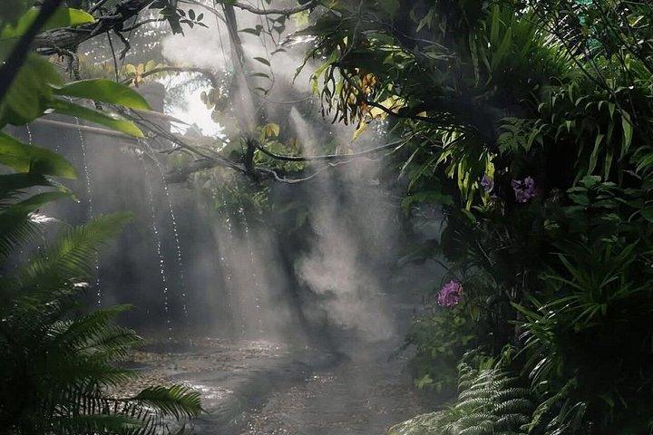 Mantra Forest Spa Sanctuary with Roundtrip Transfer from Phuket