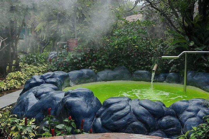 Mantra Forest Spa Sanctuary with Roundtrip Transfer from Phuket