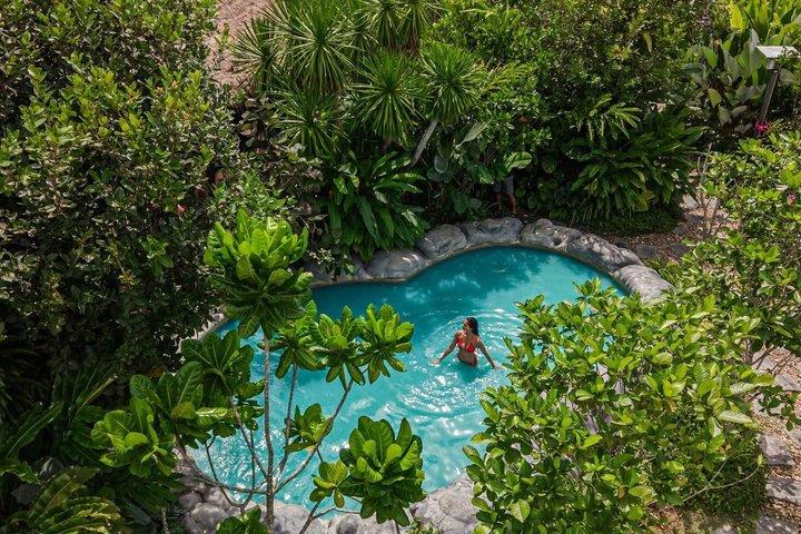 Mantra Forest Spa Sanctuary with Roundtrip Transfer from Phuket