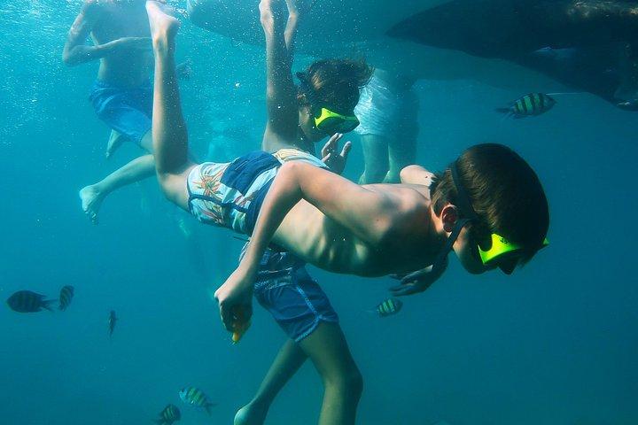 プーケット島：ラチャ諸島2島、シュノーケリング3回（ヨットから終日）