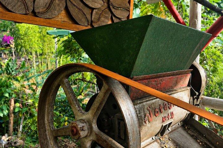 ココラバレー、サレント、コロンビアコーヒーファーム