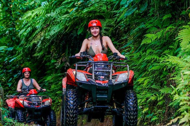 ウブド ゴリラフェイス ATV、棚田と滝ツアー