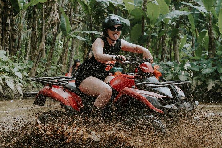 ウブド ゴリラフェイス ATV、棚田と滝ツアー