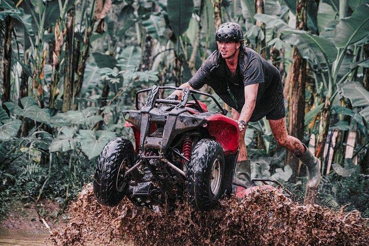 ウブド ゴリラフェイス ATV、棚田と滝ツアー