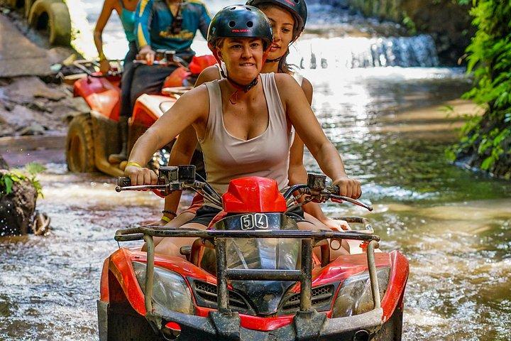 ウブド ゴリラフェイス ATV、棚田と滝ツアー