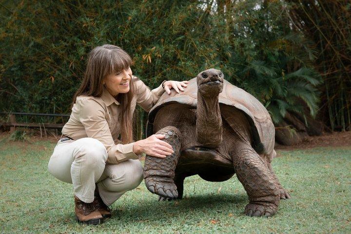 Australia Zoo Private Group Tour from Brisbane