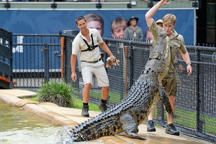 Australia Zoo Private Group Tour from Brisbane
