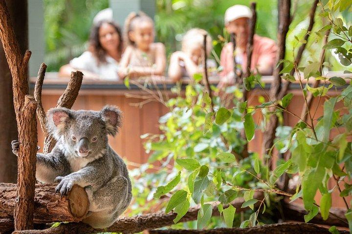 Australia Zoo Private Group Tour from Brisbane