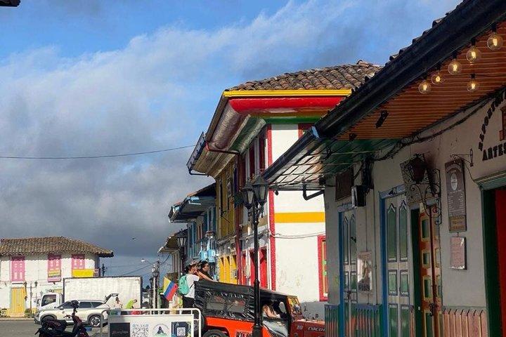 ココラバレー、サレント、コロンビアコーヒーファーム