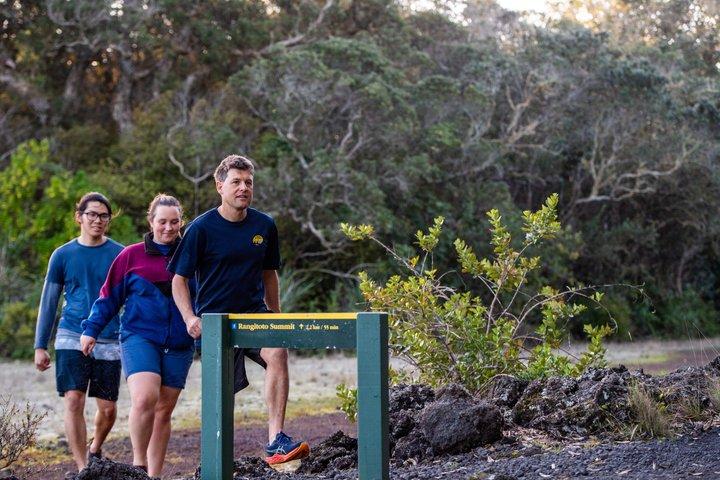 オークランド：ランギトト火山ハイキング、サミット＆溶岩洞窟