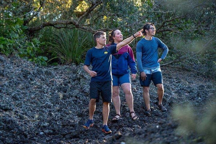 オークランド：ランギトト火山ハイキング、サミット＆溶岩洞窟
