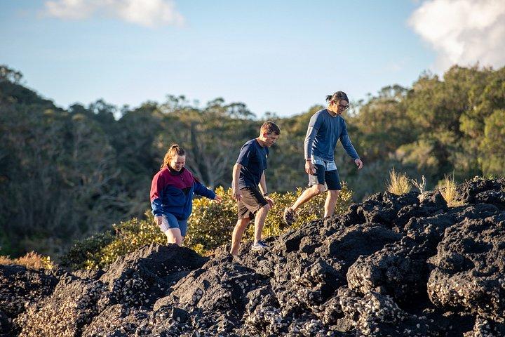 オークランド：ランギトト火山ハイキング、サミット＆溶岩洞窟