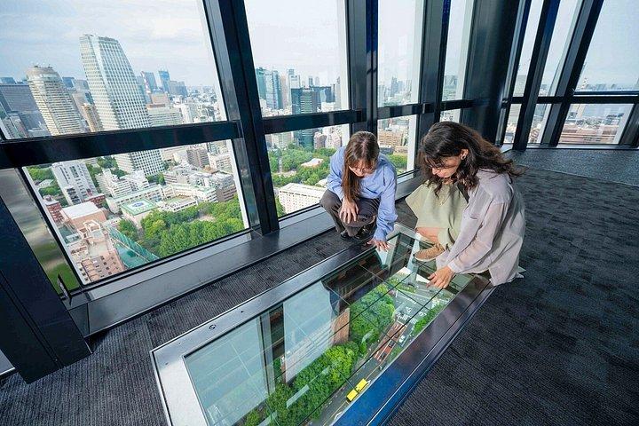 東京ダイナミック全日ツアー：抹茶作り、ベイクルーズ＆ランチ