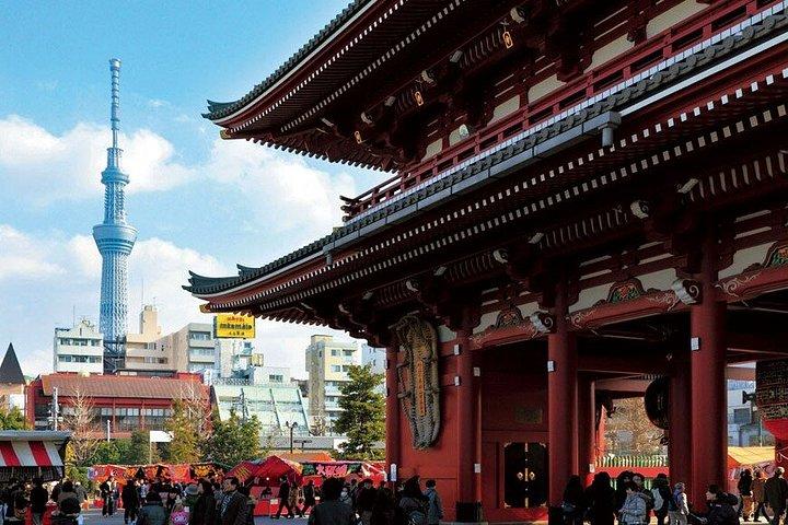 東京ダイナミック全日ツアー：抹茶作り、ベイクルーズ＆ランチ