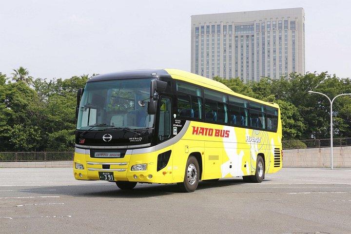 東京ダイナミック全日ツアー：抹茶作り、ベイクルーズ＆ランチ