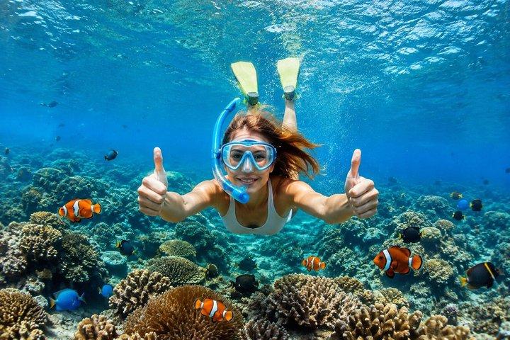 オールインクルーシブ : バリ ブルー ラグーン シュノーケリング、ランチ、送迎