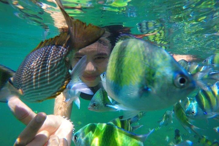 Krabi Hong Islands Speedboat Tour with Lagoon Viewpoint