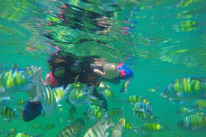 ラグーンビューポイント付きクラビホン諸島スピードボートツアー