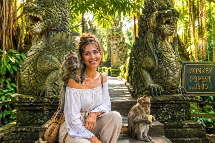 Halvdags privat tur i Ubud