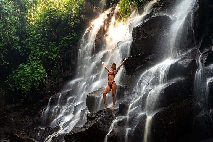 Ubud Tour: Monkey Forest, vandfald, tempel og ris terrasser