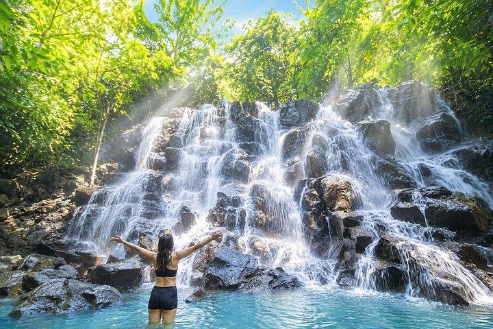 Ubud Tour: Monkey Forest, vandfald, tempel og ris terrasser