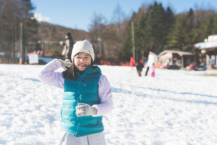 東京から富士山ビューそり＆相模湖イルミネーションツアー