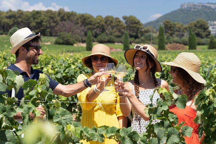 Small Group Marseille Shore Excursion : Avignon & Chateauneuf du Pape Wine Tour