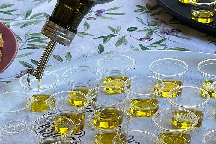 フィエーゾレのFrantoio BuonamiciでOlio evoブロンズ体験