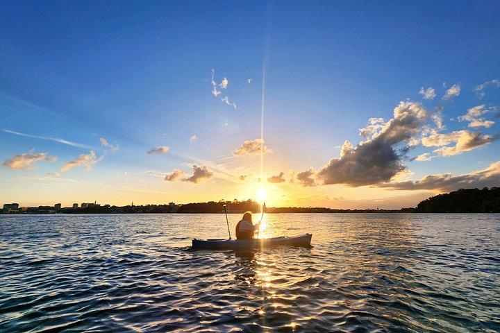 Sydney Sunset Kayaking Experience for Small Groups