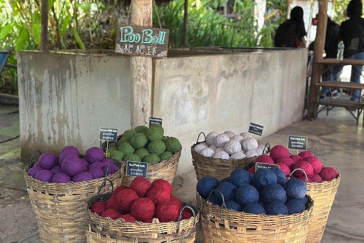 Ultimate Chiang Mai : Mon Jam, Longneck & More Highlights