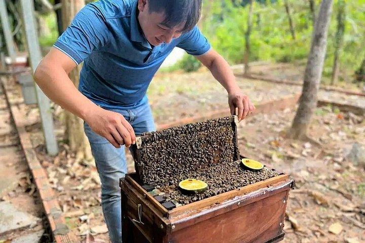 North Phu Quoc Day Trip: Nature, Bee Farm & Kayaking