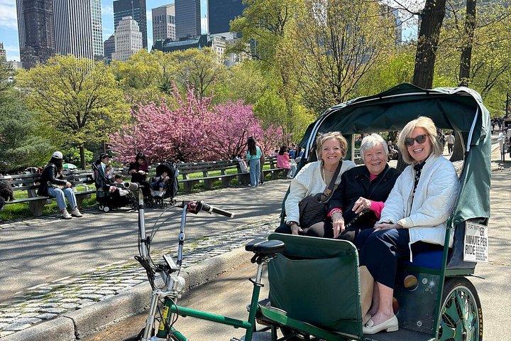 Tour por Central Park y Gilded Age Mansions