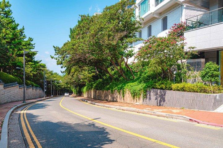Busan Highlights: Small Group, Hotel Pick-up & Sky Capsule
